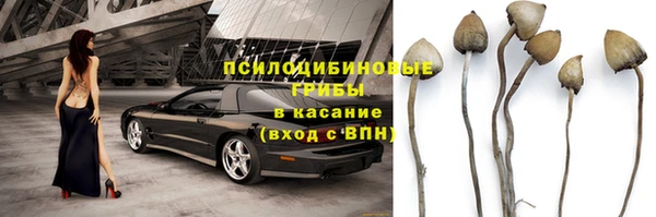 амф Елизово