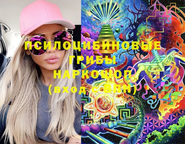 молекула духа Дмитриев