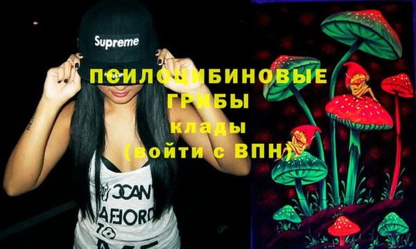 молекула духа Дмитриев