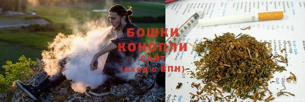 молекула духа Дмитриев