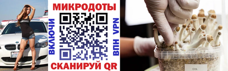 Псилоцибиновые грибы Psilocybine cubensis  Купить где  Мариинск 